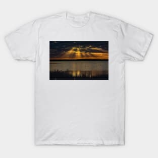 Cloudy sunset over Lake Myakka T-Shirt